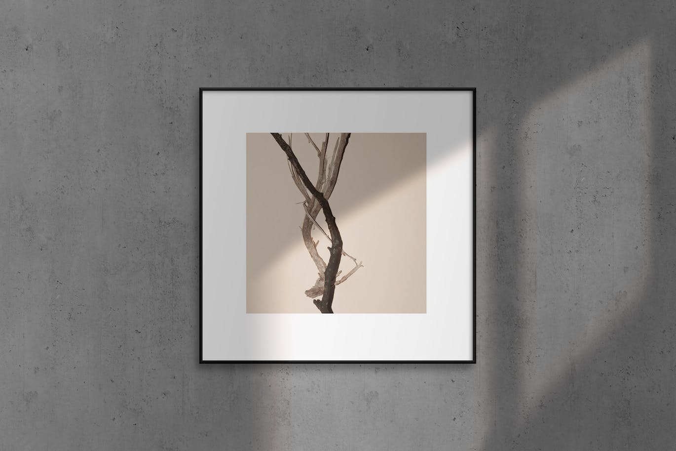 15308dd8-1c7e-4d92-b1ab-3319bb362e70